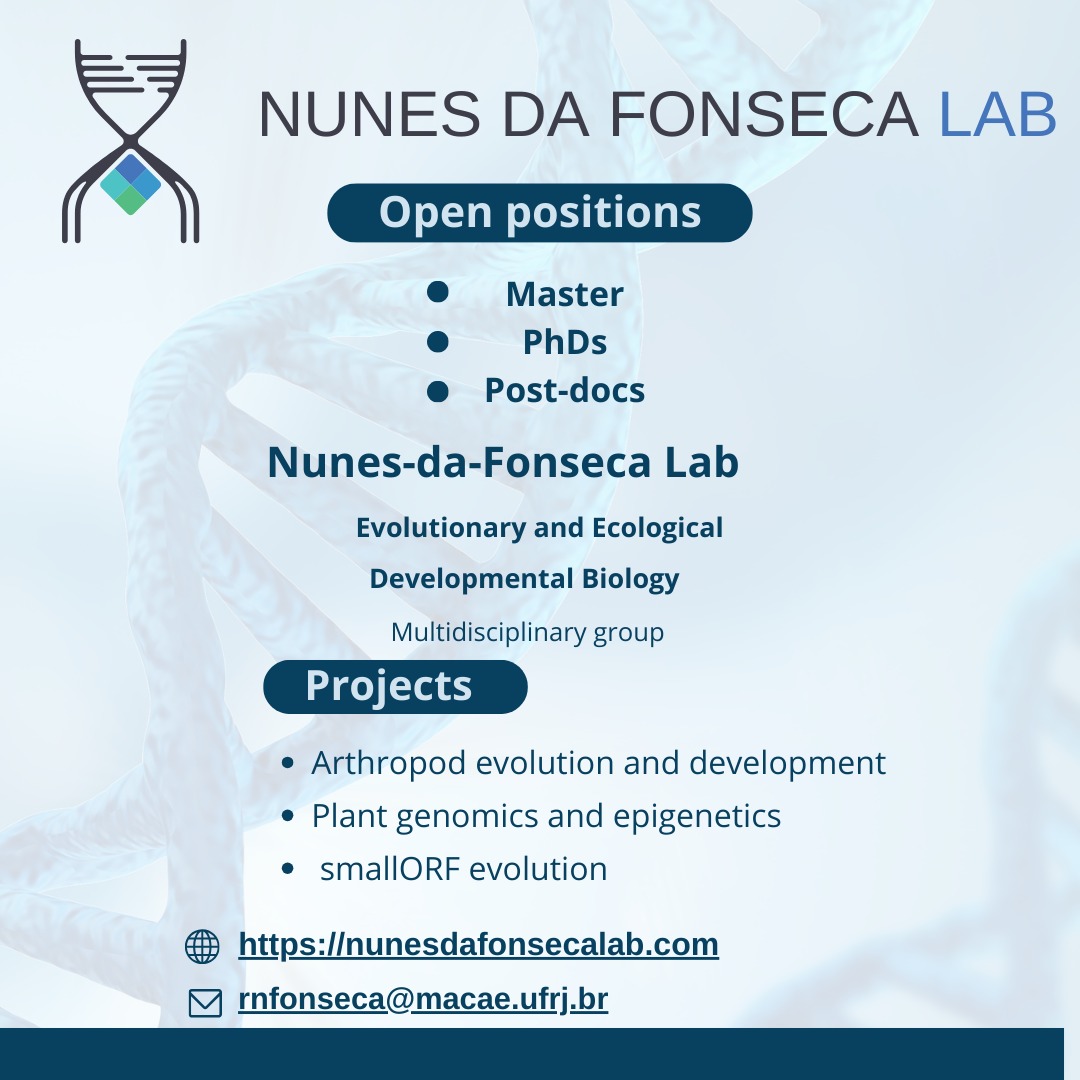 Getting close to the end of the year I could not be happier with my team. We have open positions.
 Join nunesdafonsecalab.com
Macaé, Rio de Janeiro, Brazil
