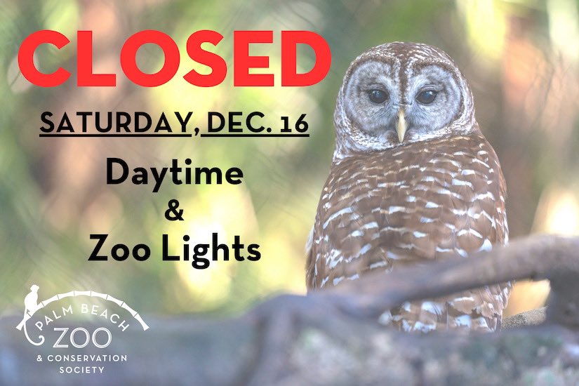 🚨🌧 Update regarding this weekend's weather 🌧🚨.

We will be CLOSED on Saturday, Dec 16 for daytime and Zoo Lights.

ZOO LIGHTS IMPACTS - If you purchased a ticket for Zoo Lights on Saturday, Dec. 16 you may come back and use those tickets on any other Zoo Lights night.
