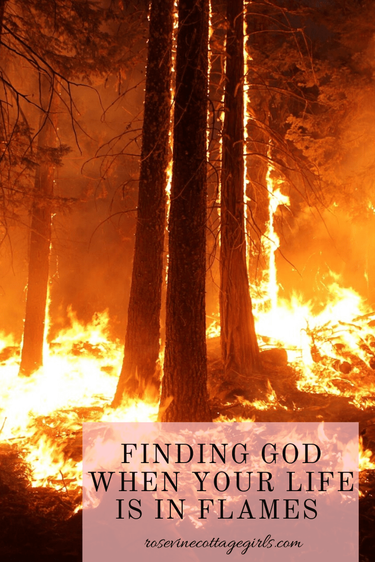 RosevineCottage's tweet image. Finding God When You Are Engulfed In Flames rosevinecottagegirls.com/when-you-are-e… via @@RosevineCottage #findinggod