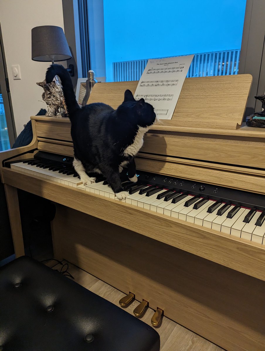 RaphaelEvent's tweet image. Do mi sol do do sol mi do ...