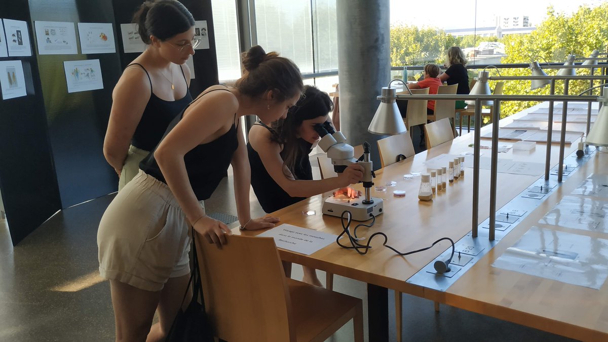 La drosophile ? Pour étudier l’humain ? Effacer la mine dubitative associée à cette question, c’est le défi que s’est lancé Douaa Moussalem, post-doctorante à l’Institut de Génétique Humaine, pour son atelier à Sciences de Nuit ! 
✨ 👩‍🔬 [Vendredi avec Sciences de Nuit] 👨‍🔬 ✨