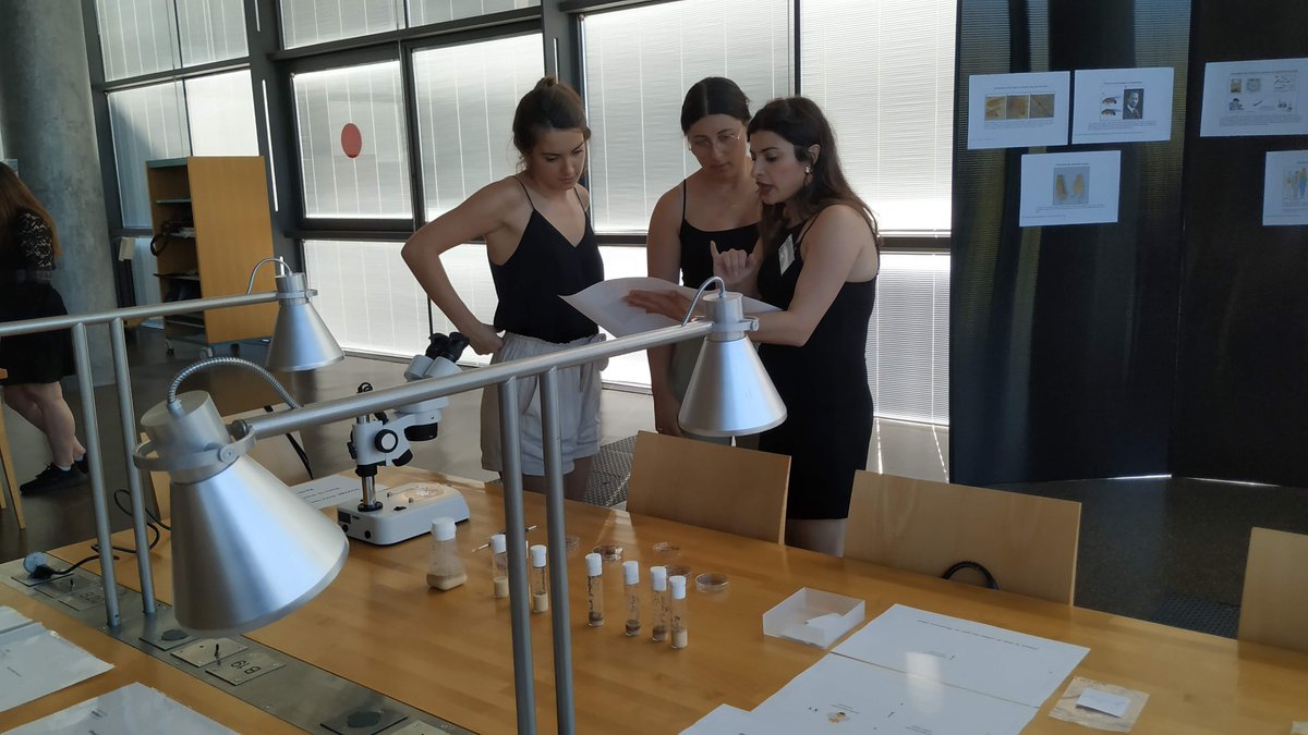 Genopolys tweet media