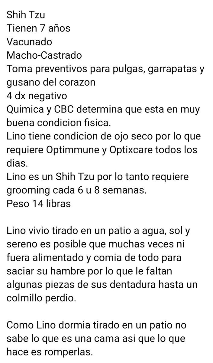 Lucitadoce's tweet image. Shitzu para adopción es muy hermoso y bueno fue muy maltratado lo tenían en sol y sereno ahora buscamos una familia que lo ame como merece
Por favor RT ayudemos a Lino
@marvelousvet @titaguerrero @SylviaGomezT2 @ivonnesolla @alefuentespr