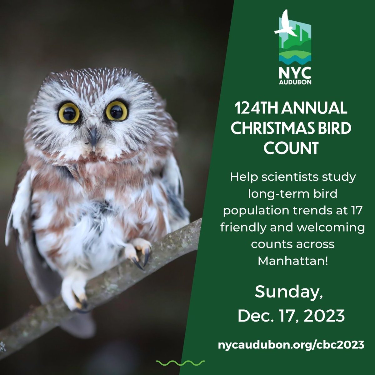 Last chance! Join the #AudubonCBC in Manhattan on Dec. 17. Help us find all the birds using our green spaces at over 17 fun counts across Manhattan 👀🦉 Welcoming to new and beginning birders, and a great time for the whole family! Learn more & register:  nycaudubon.org/christmas-bird…