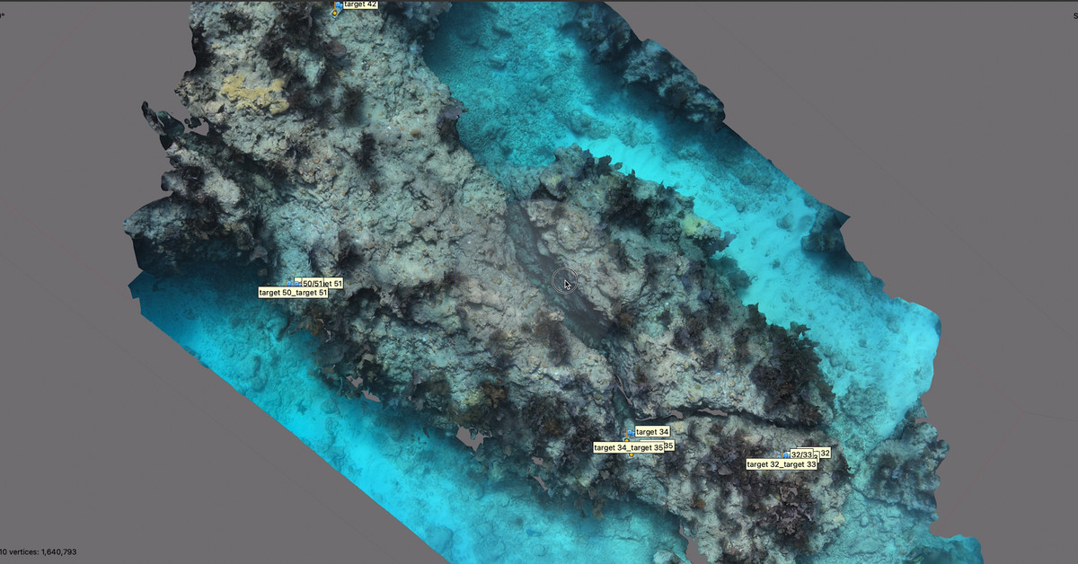 Climate change is killing coral — can AI help protect the reefs? trib.al/kmcRSnZ