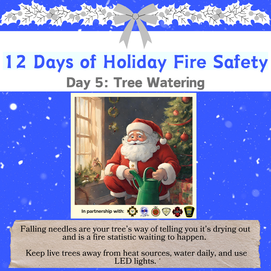FIRE: Falling needles are your tree's way of telling you it's drying out and is a fire waiting to happen. Avoid being a statistic and water your tree daily. Be weary of heat sources near the tree including furnace vents and non-LED lights.🎄