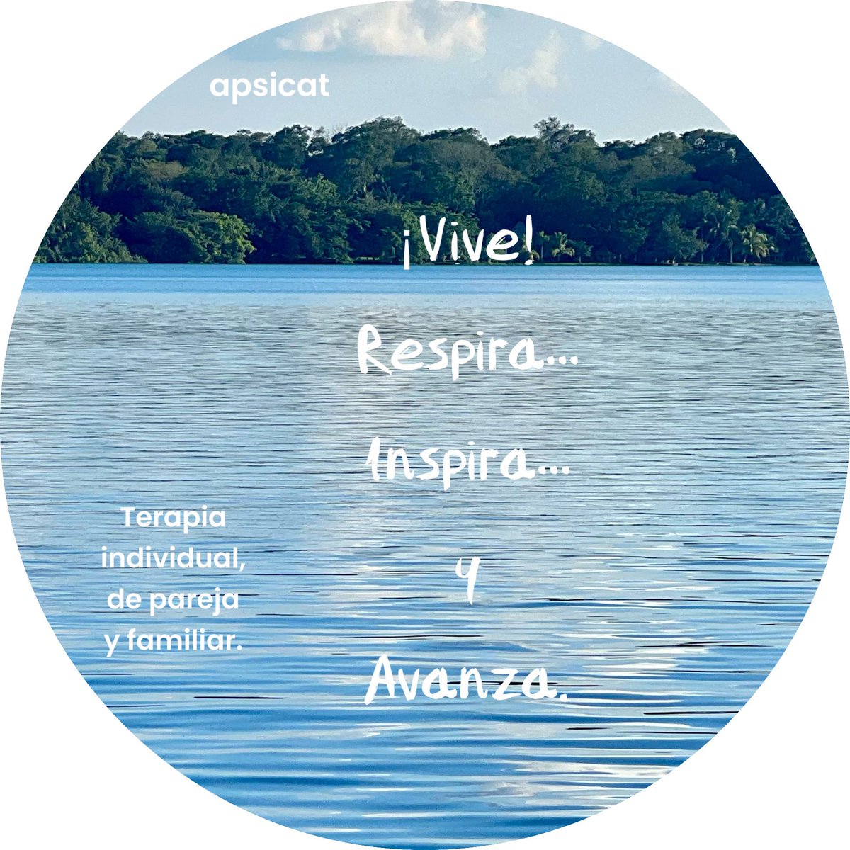 apsicat's tweet image. 