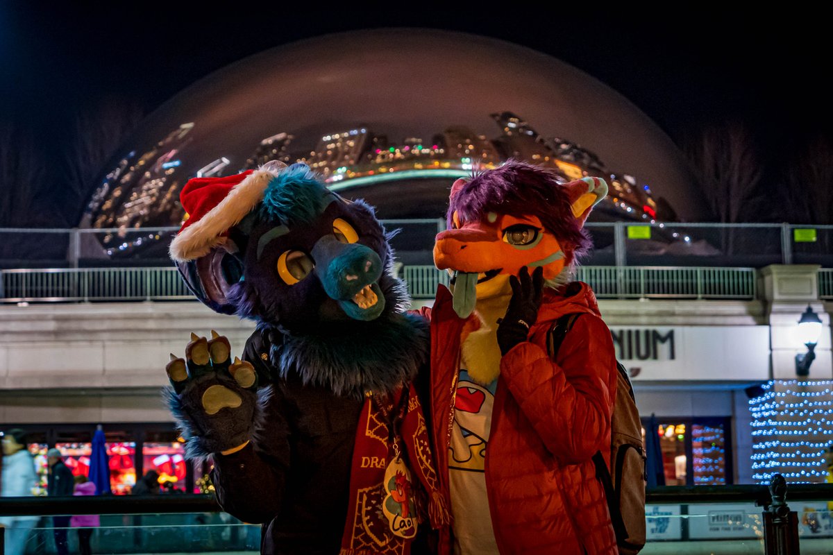 THE BEAN (or the closest you could get to it). ✨
#FursuitFriday 

🐉 <a href="/thatnerfdragon/">CaolDubh</a> 
📸 <a href="/vulppine/">Flipp Syder (INACTIVE)</a>