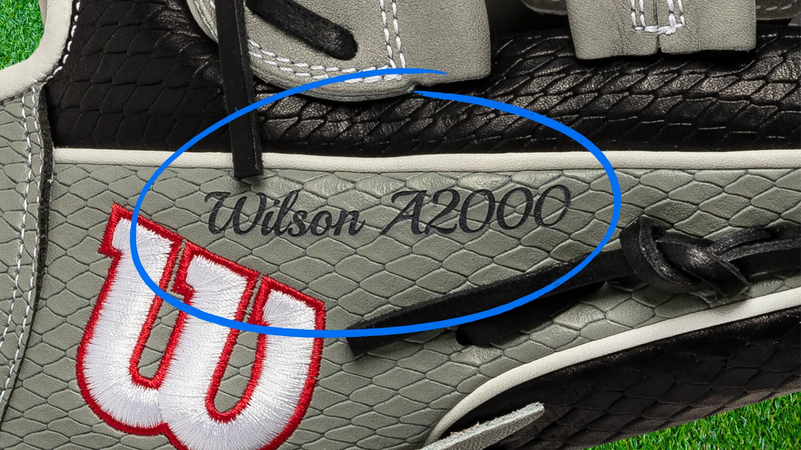 Just gloves 2024