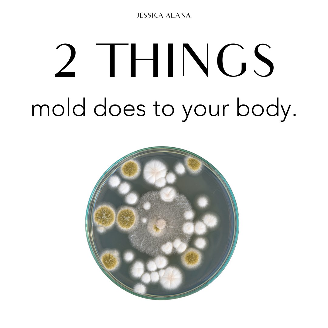 2 Things Mold Will Always Do To Your Body 1 Cause Persistent Chronic what-drinking-too-much-alcohol-can-do-to-your-body-youtube