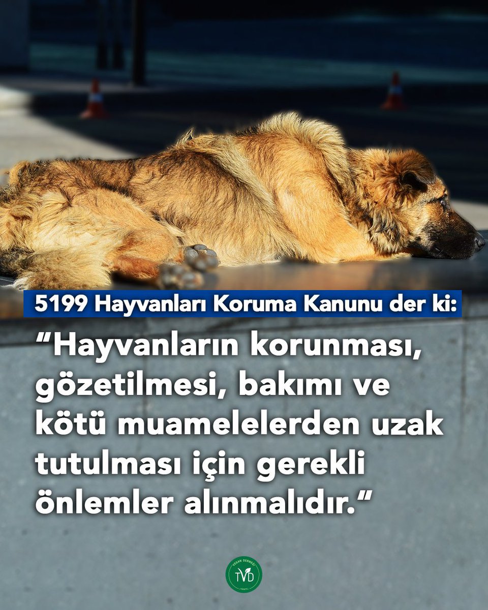 🌱 '5199 Sayılı Hayvanları Koruma Kanunu’nda belirtildiği üzere kamu kurumları sokakta yaşayan hayvanların yaşam hakkını korumak, hayvanları gözetmek, bakımlarını yerine getirmek ve kötü muamelelerden uzak tutmakla yükümlüdür.' (@TvdOrgTr)