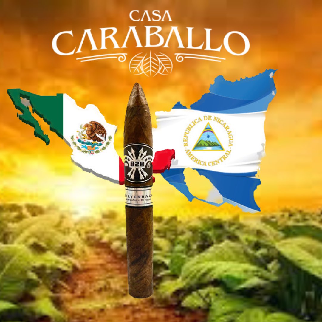 There's nothing quite like Caraballo premium cigar like the #caraballo828silverback..... It's not just smoke; it's an experience, a journey through flavors and time. A delightfully sweet, dark, and beautiful wrapper from the San Andrés Valley of Mexico. Rated 95. #veteranowned