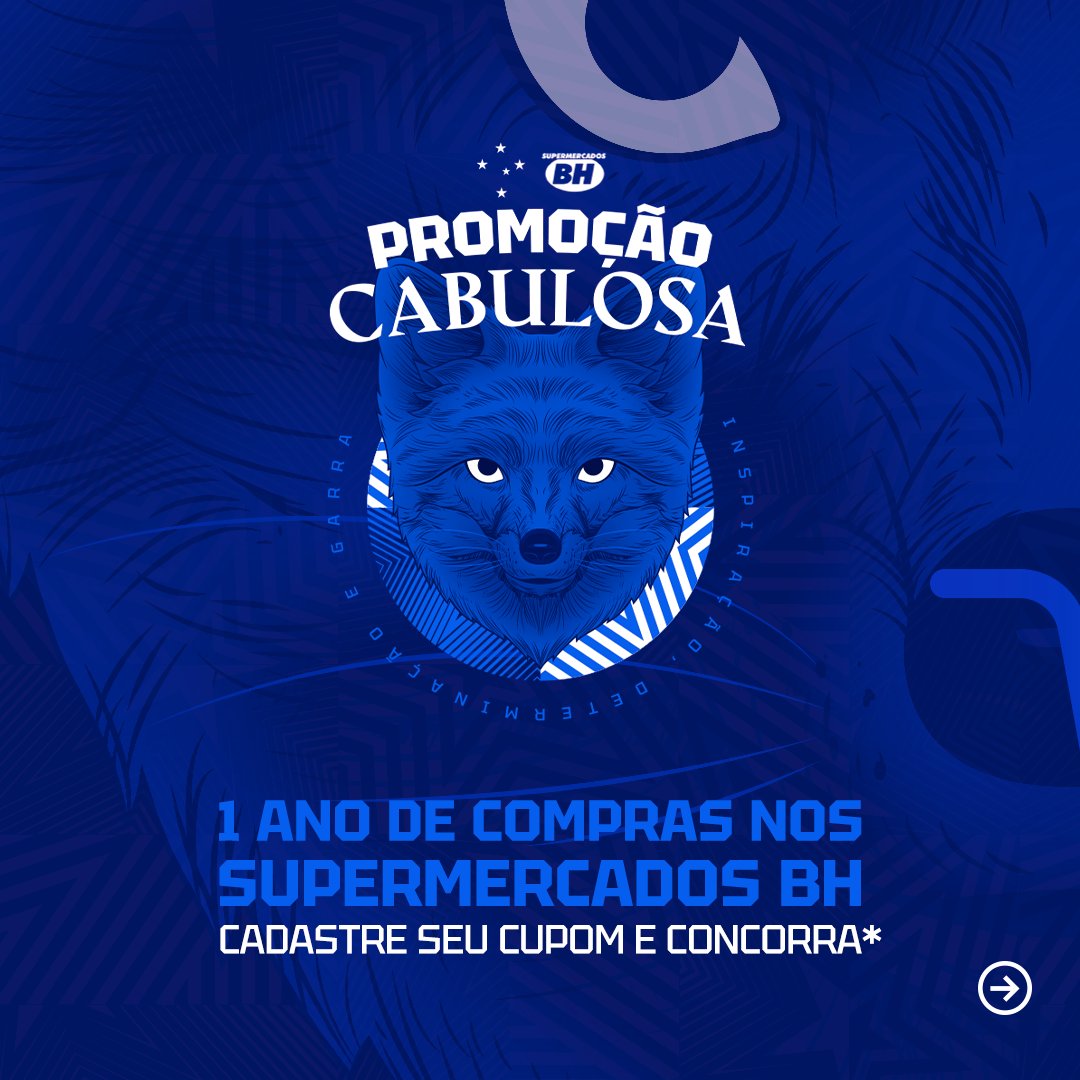 Cruzeiro Esporte Clube