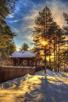 🌅🌲❄️🤎🌅🌲❄️🤎🌲🌅 Good Friday evening with Lots of fun and joy.🙏🤗