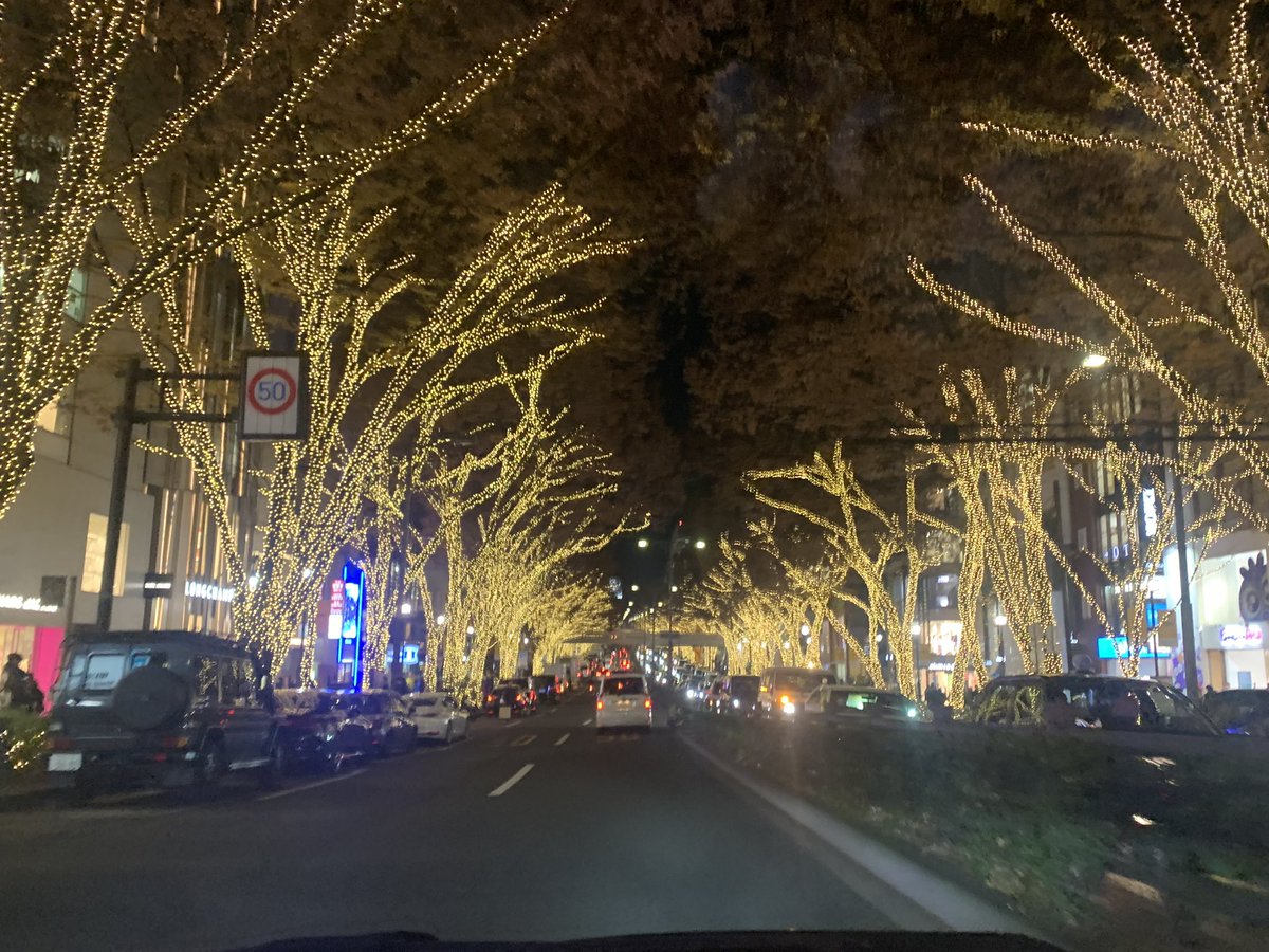 まったりお散歩いいよねー表参道