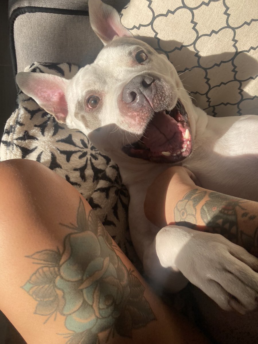 Content from madisonsthickfree