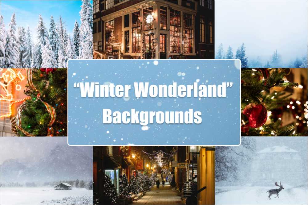 ams_soft's tweet photo. Transform your ordinary pictures into a winter wonderland with the collection of winter-themed backgrounds for PhotoWorks:
https://t.co/eZhk6kYvhY #background #replacebackground #backgroundcollection https://t.co/SNavXw9PB3