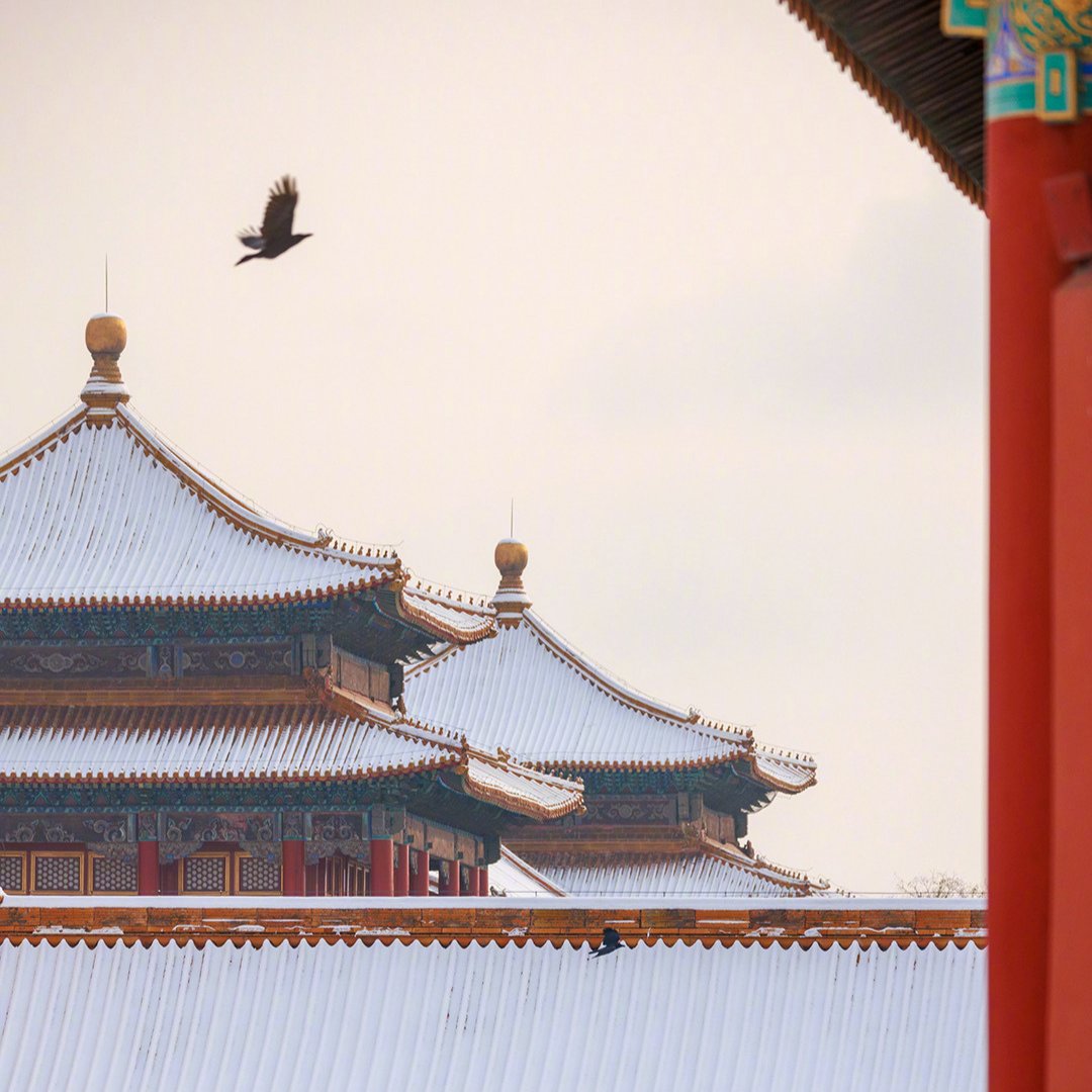 CGTNEurope's tweet photo. The Palace Museum, or the Forbidden City, has unveiled a series of photos capturing the beauty of this iconic landmark.
The golden tiles and red walls covered in snow make the Palace Museum a must-visit destination.
#PalaceMuseum #ForbiddenCity #Winter #ChinaSnowfall https://t.co/YZyTl09Xcx