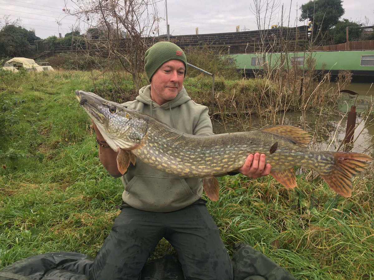 Finally, caught my first ever river 20lb+ pike… makes up for the one I lost when I was 16… only took me 30 years.. #pike #predatorfishing