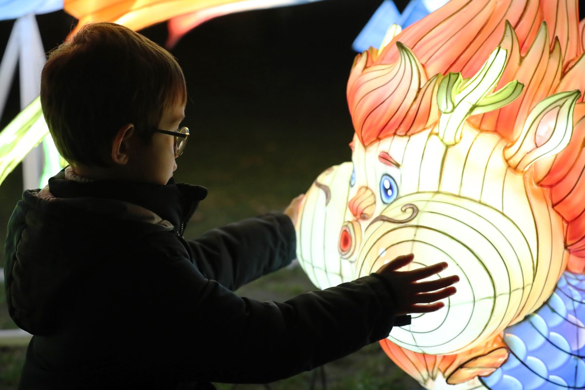 China Daily tweet media