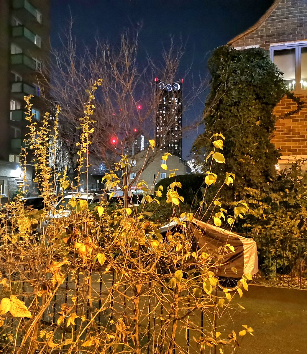 London community garden at night...