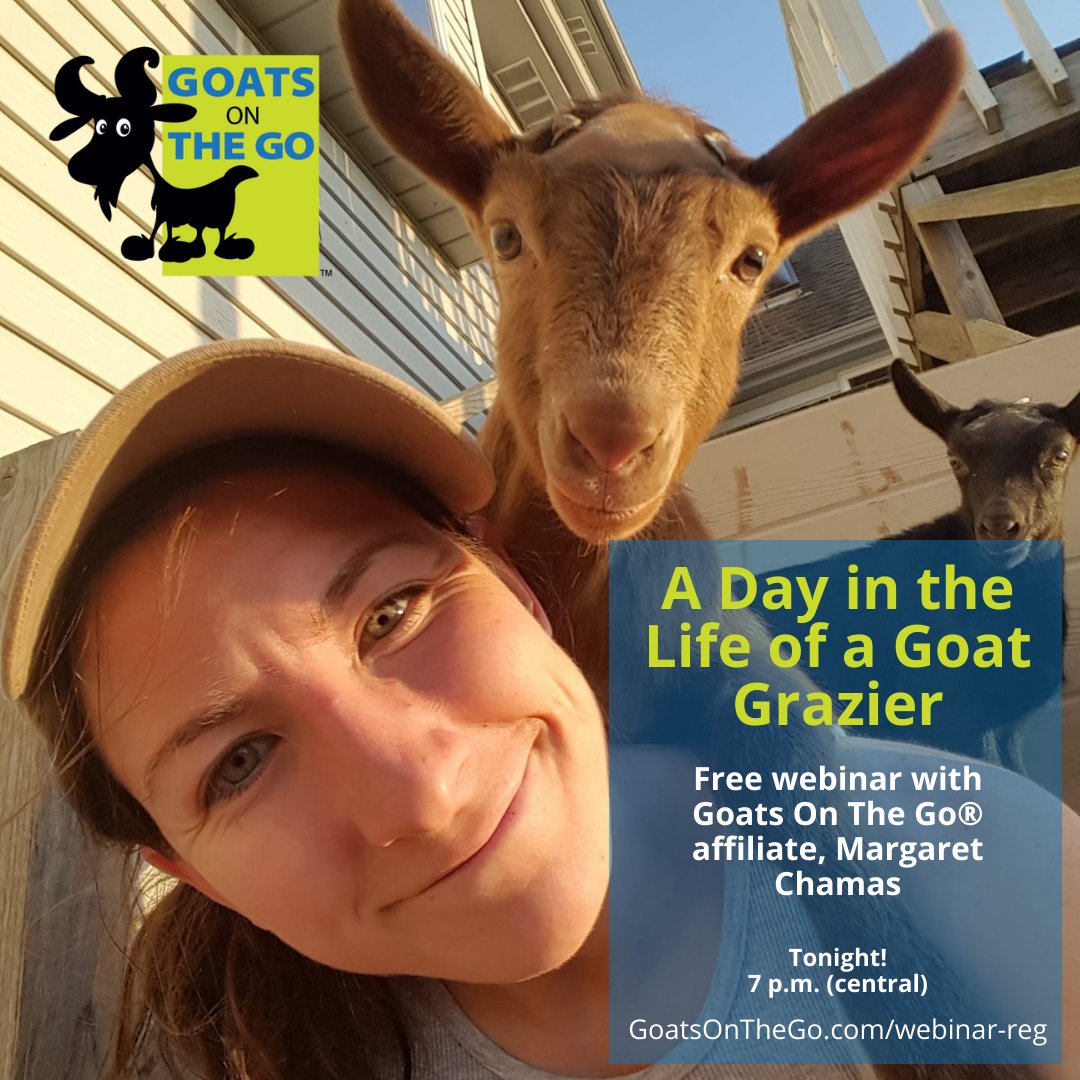 There's still time to register! Grab a drink and spend your Friday night dreaming about becoming a goat grazing business owner! bit.ly/3tgAdLG #goatgrazing #goatrental #targetedgrazing #goatscaping #prescribedgrazing #goats #invasiveplants #wildfiremitigation #rxgrazing