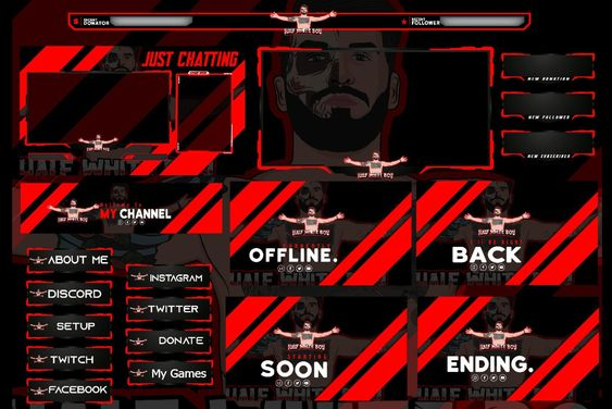 Looking for customized Overlays!! #twitch #TwitchStreamers #SmallStreamersCommunity #SmallStreamersConnect #animation #GraphicDesigner #ApexLedgendVtube #TwitchStreamers