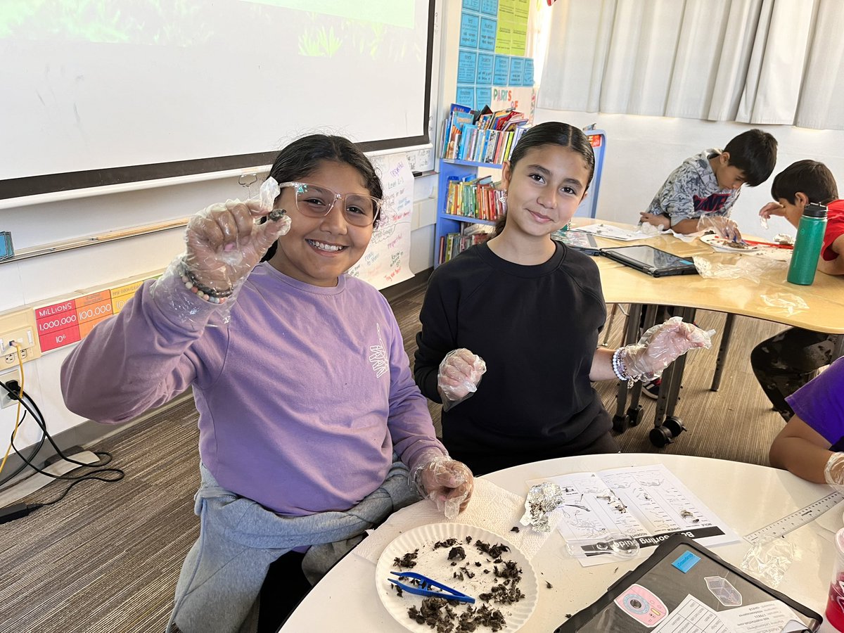 Ms_H5thGrade's tweet photo. What better way to celebrate the holidays than by dissecting owl pellets. 😂💜 https://t.co/ci1OEOZ0tD