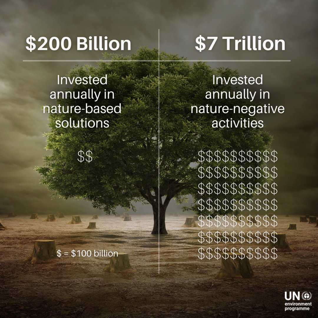 Nearly $7 trillion USD is invested annually in activities harming nature, while investments in Nature-based Solutions total only around $200 billion.

It’s time to flip these numbers. 

Check UNEP’s State of Finance for Nature for more findings: bit.ly/3RIYm6U