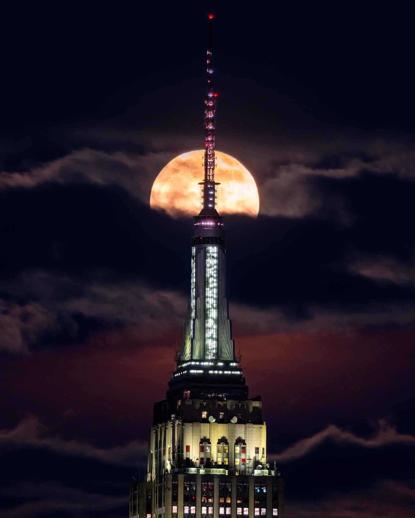 Empire State Animal Response Team