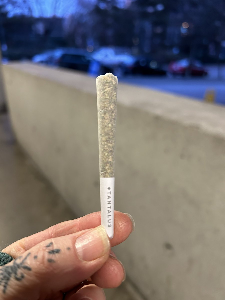 Andrea Dobbs tweet media