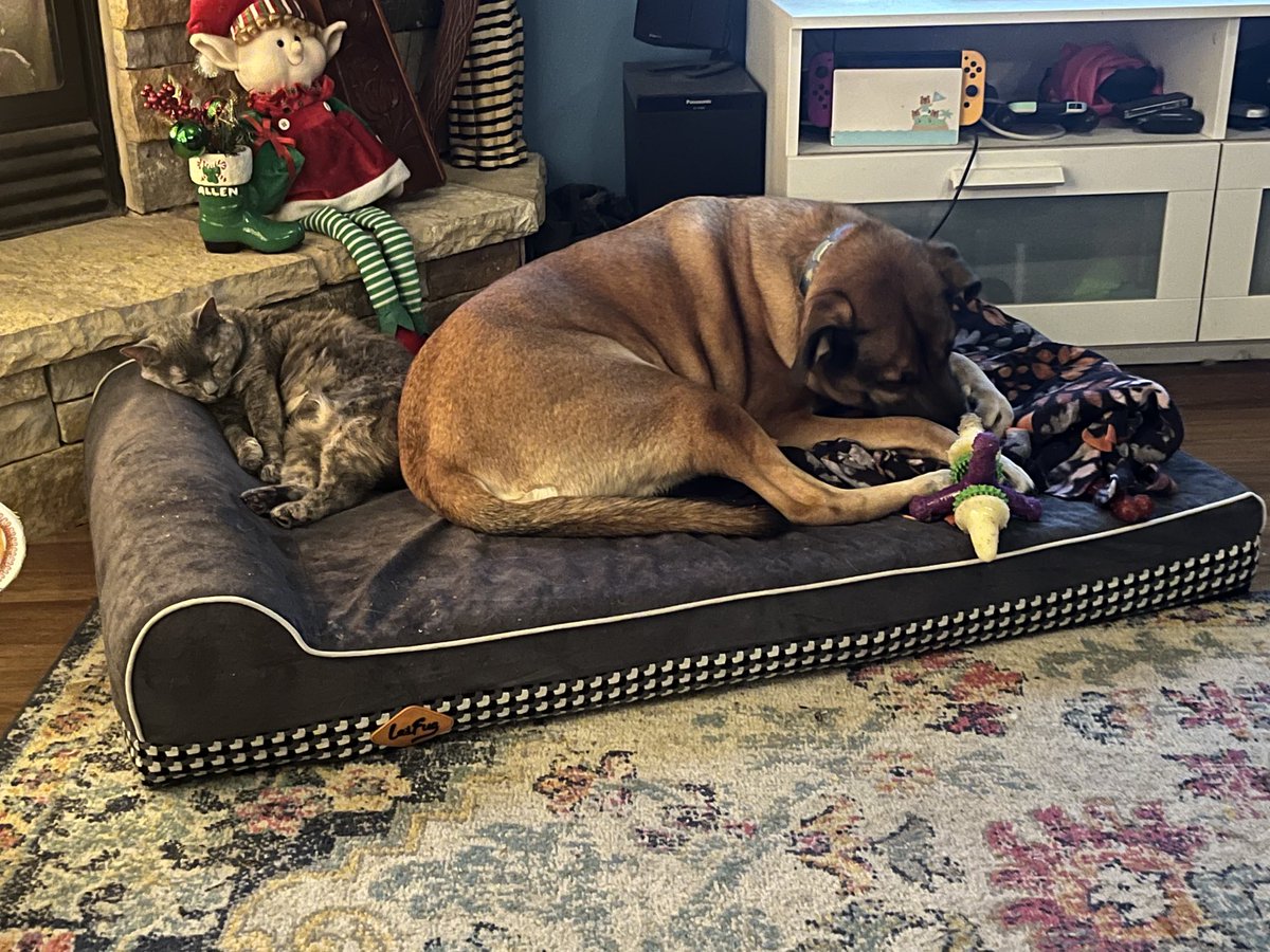 Pastor Allen (@revallenc) on Twitter photo 