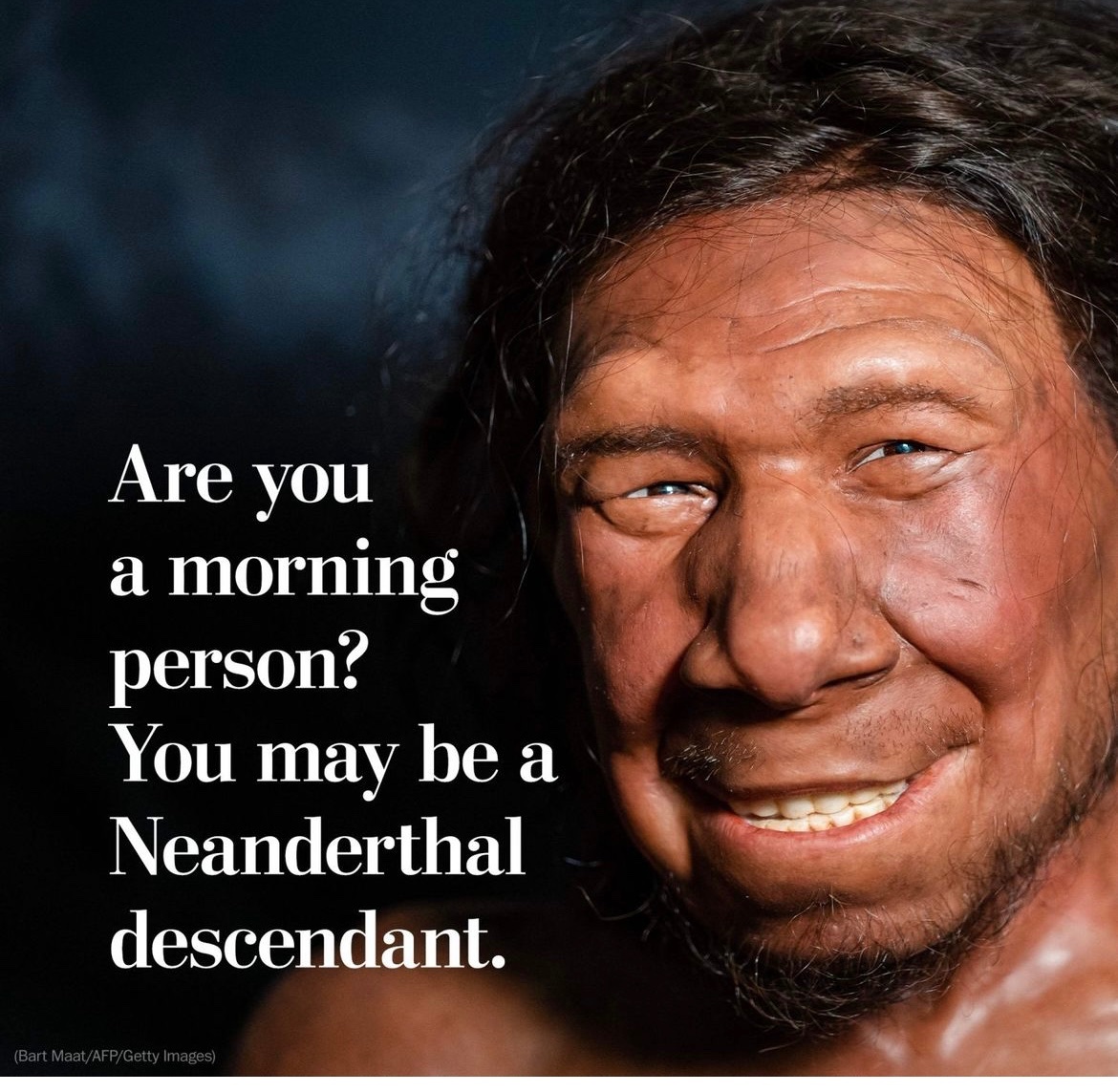 MtzTweets's tweet image. Is this why #Latinos do not do the sleeping in? I can’t stand watching people sleep late. #Petpeeve