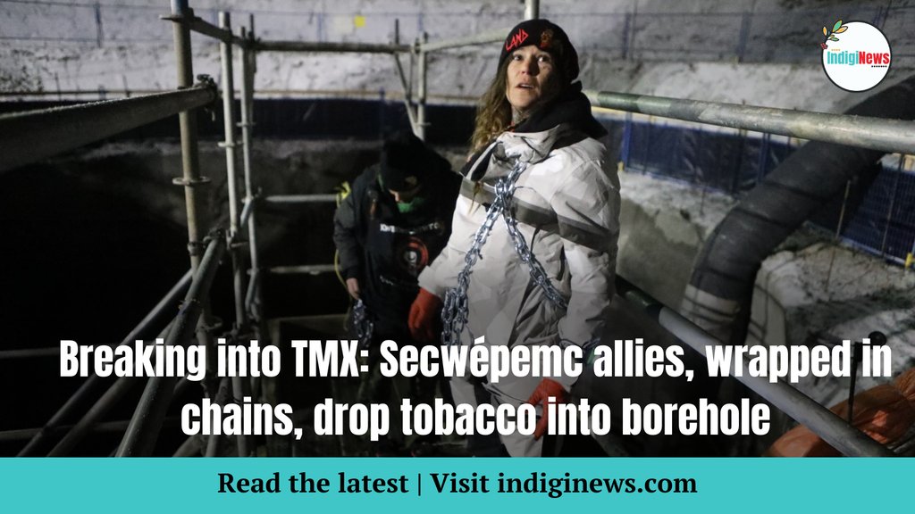 Land defenders Cassie Fox and Khursten Bullock chain themselves to scaffolding at the site of the TMX project’s development at Pípsell in Secwepemcúl’ecw, on Dec. 10. Story by @Songstress28 with photos by @aaron_hemens 👇️ indiginews.com/news/breaking-…