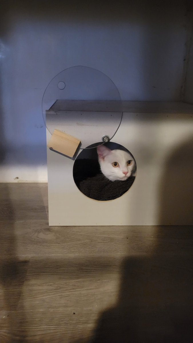 Earlier this week GNFD assisted Deseronto Fire with getting a cat out of a tree that had been there for a few days. 

There were a few names suggested around the hall, but "Aerial" seems pretty fitting for this kitty. 

<a href="/887myFM/">88.7 myFM</a> <a href="/Greater_Napanee/">Greater Napanee</a>