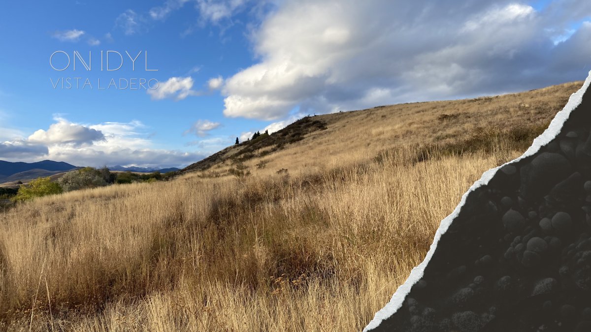 My new EP - Vista Ladero - is out today! Featuring four ambient and dark ambient instrumentals, it chronicles a scary fire season in the foothills many moons ago. Available in all the usual haunts (Bandcamp, YouTube, Spotify, Apple Music, etc.). Cheers!