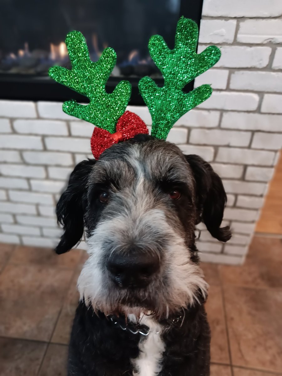 That festive, Friday feeling! 💚❤️