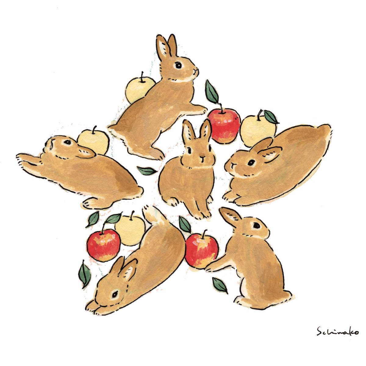 food fruit apple no humans white background rabbit simple background  illustration images