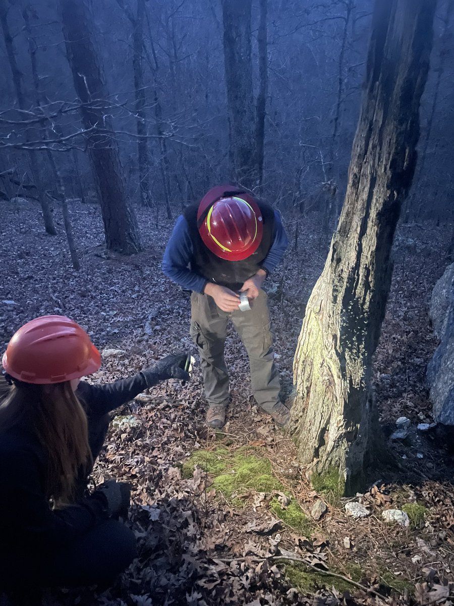 marschall_joe's tweet image. Unloading fire scars on #firescarfriday, great way to wrap up an awesome/incredible week of sampling #shortleafpine in the Missouri Ozarks!