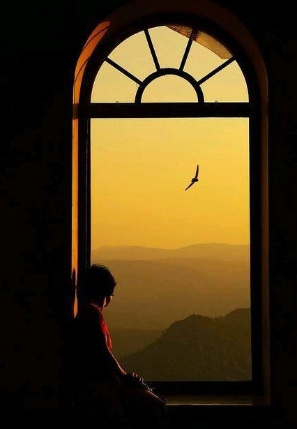 GiusoloCorvo's tweet photo. A veces simplemente disfruto de sentarme a ver la aves volar, imaginando que soy una de ellas, y que con una mente sencilla y en presencia, disfruto del paisaje, disfruto de mi vuelo, de la brisa, del momento. Danzando por los aires, fluyendo con el viento. https://t.co/dhhjl1rj9v