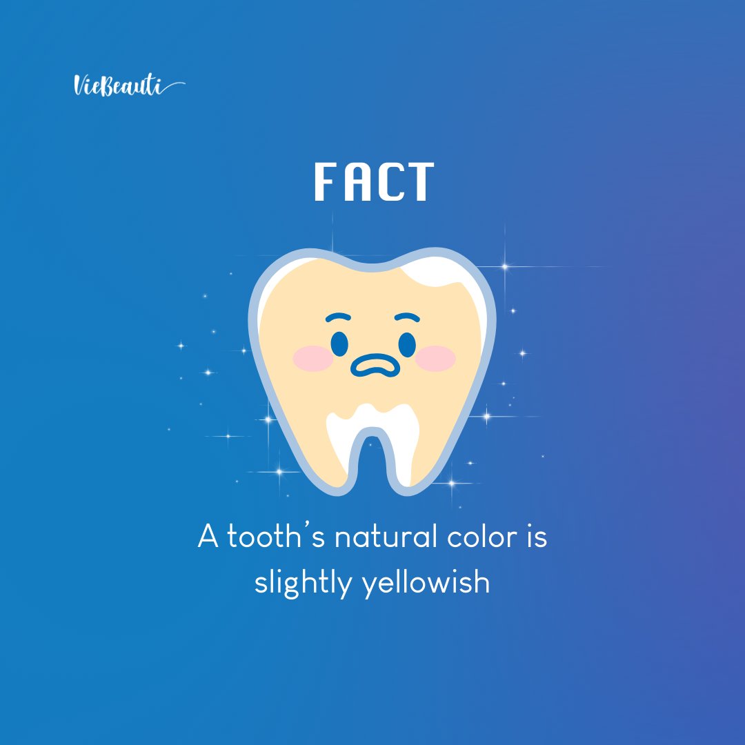 Did you know? Yellowish teeth can actually indicate a healthy smile! 

Embrace the natural hues—slight yellowing often signifies strong enamel and healthy dentin. 

Discover the beauty in your unique dental palette! 🦷💛
.
.
.
#HealthyTeeth #NaturalBeauty #EmbraceYellow