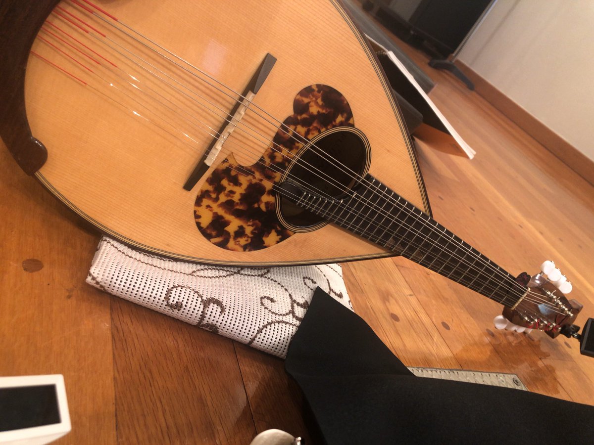 まもなく新人撰、会場します✨