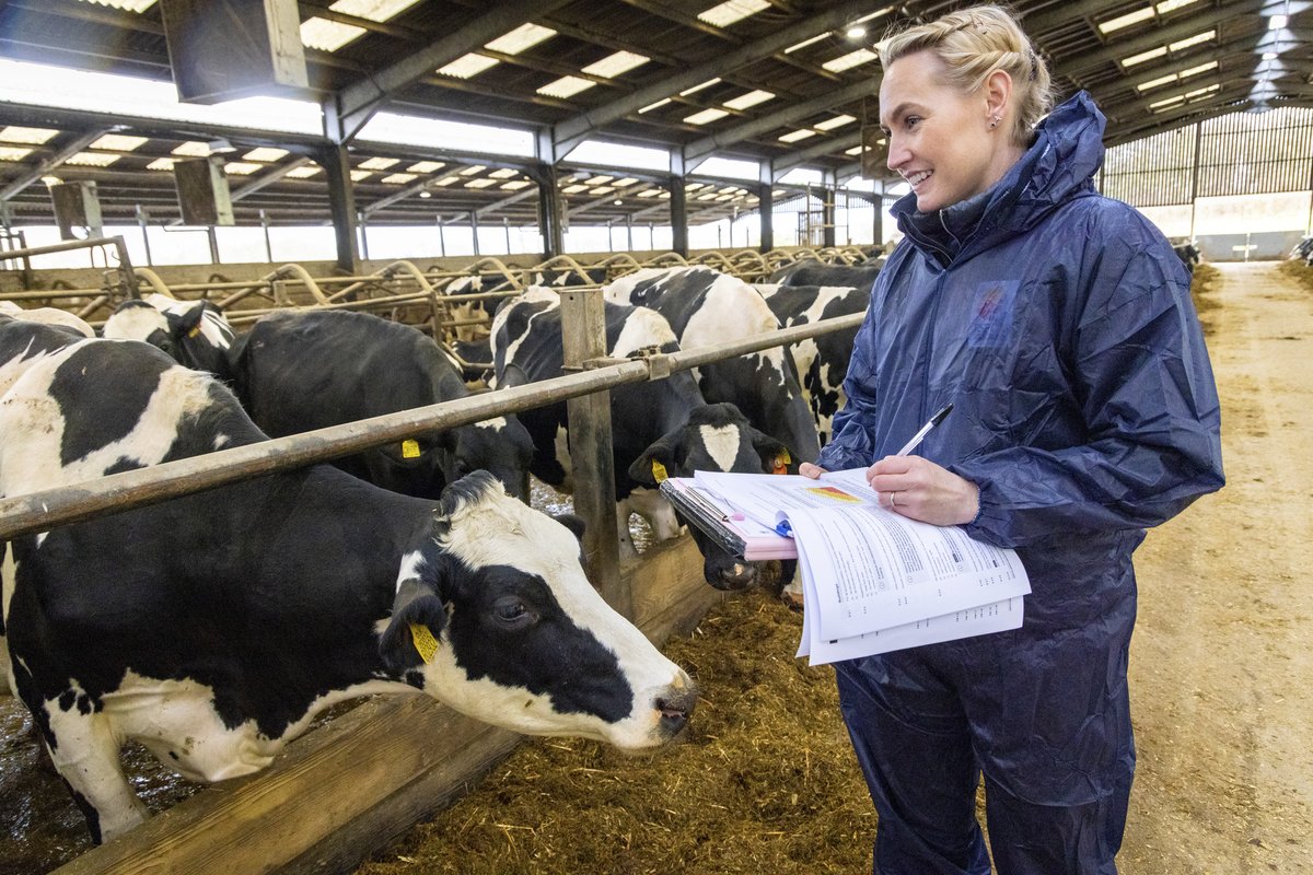 RSPCA Assured members have to meet strict RSPCA welfare standards on their farms. These are continuously reviewed and improved using scientific research🔬, practical farming experience 🧑‍🌾 and expert veterinary advice🩺. #BelieveInRSPCAAssured