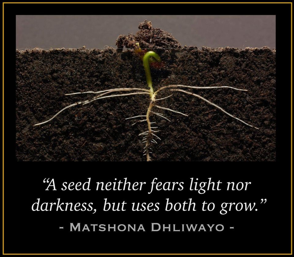 Keep Planting Those Seeds 
💚   🍀 🌱 🍀   💚
#BeTheChange 
#WeAreTheRevolution