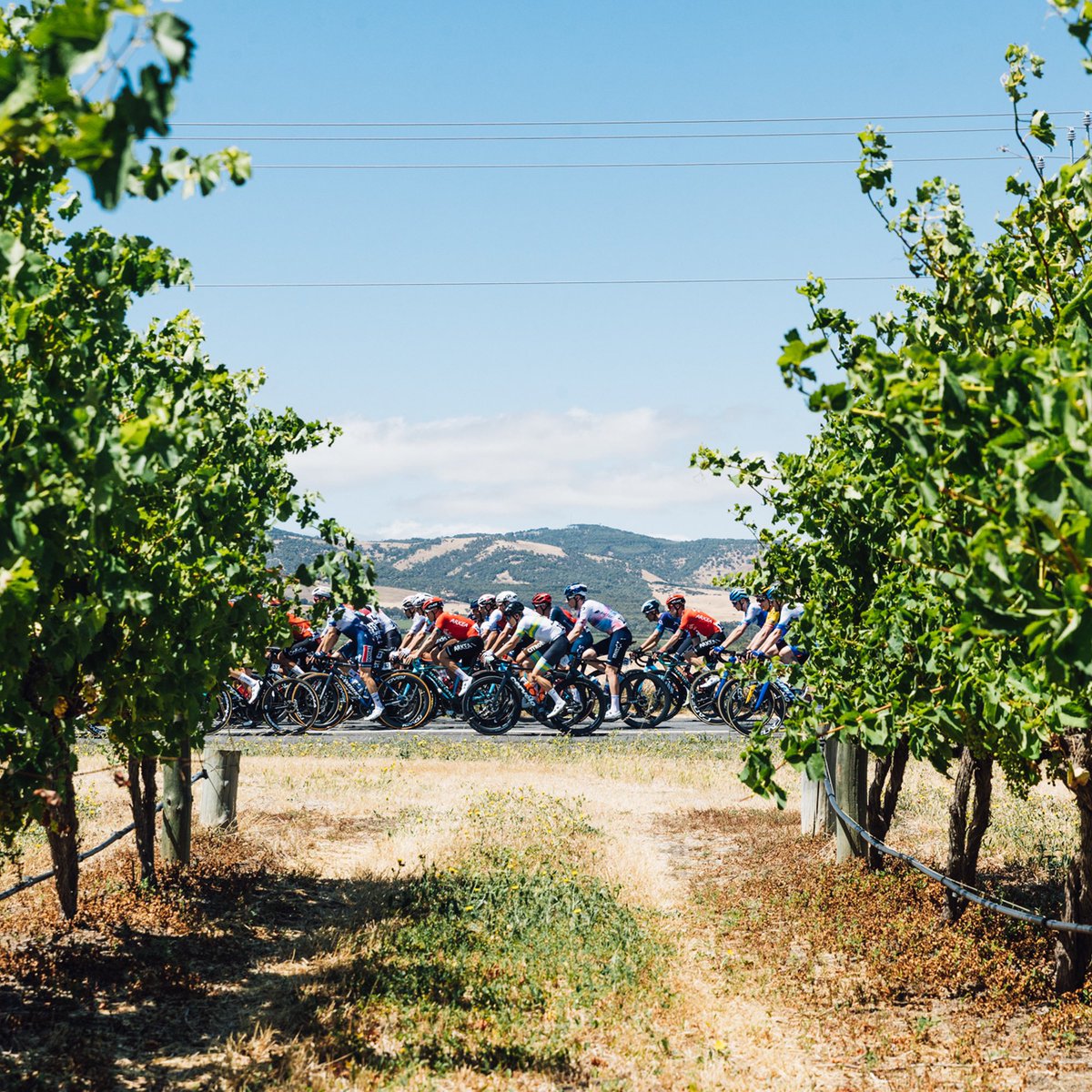 Israel β Premier Tech (@israelpremtech) on Twitter photo One month to go until our 2024 season officially begins at the <a href="/tourdownunder/">Santos Tour Down Under π΄π΄ββοΈ</a> π
#YallaIPT One month to go until our 2024 season officially begins at the <a href="/tourdownunder/">Santos Tour Down Under π΄π΄ββοΈ</a> π
#YallaIPT