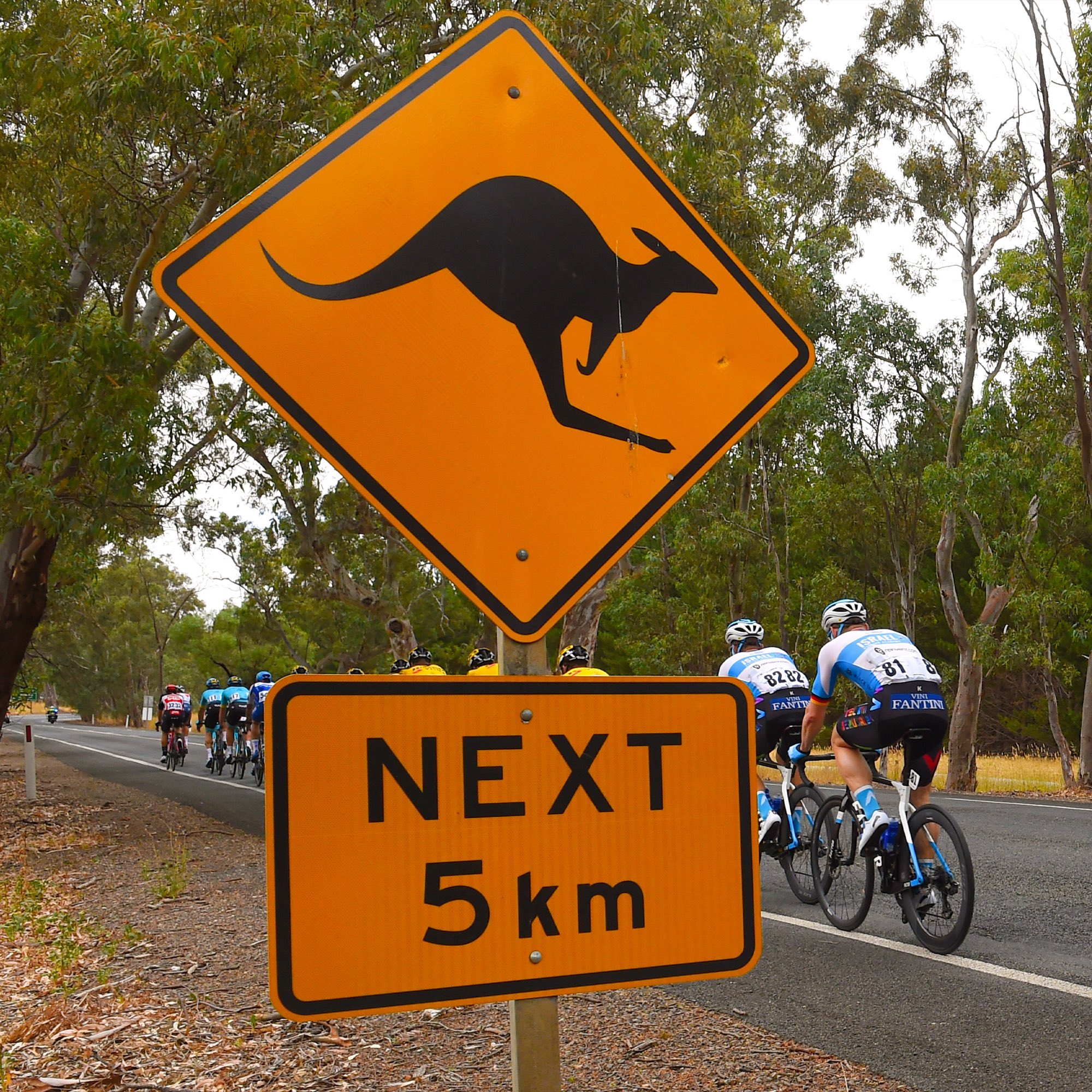Daryl impey sale twitter