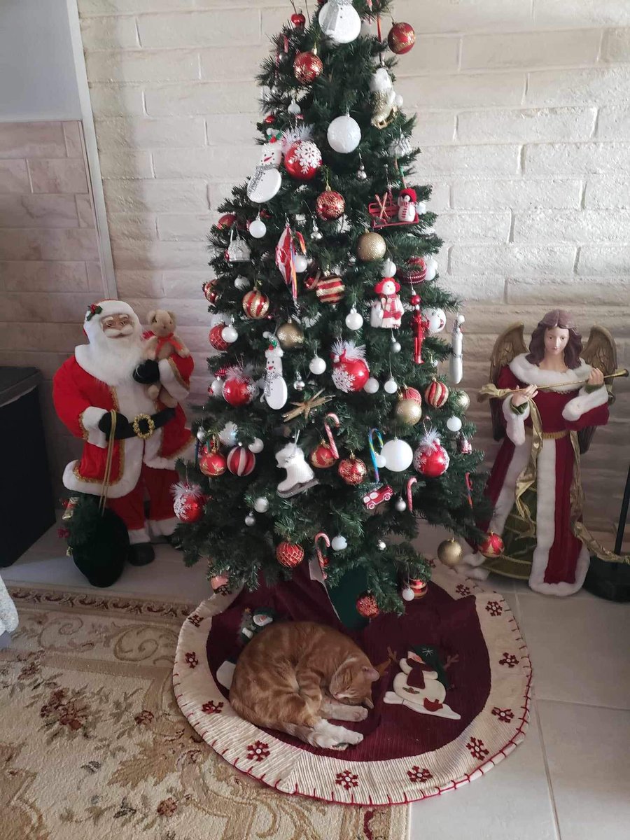 WhatGig's tweet photo. @BlueStormComin1 My cat decided to crash under the tree but thankfully not in it!! https://t.co/EHAHyGx68U