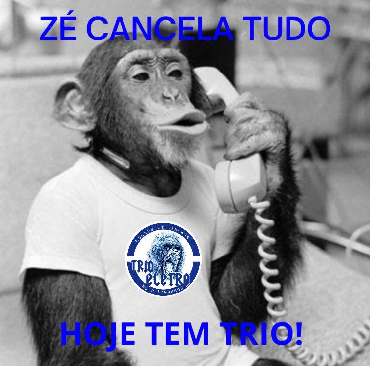 E QUEM TAVA TRISTE NÃO TÁ MAISS 🤪