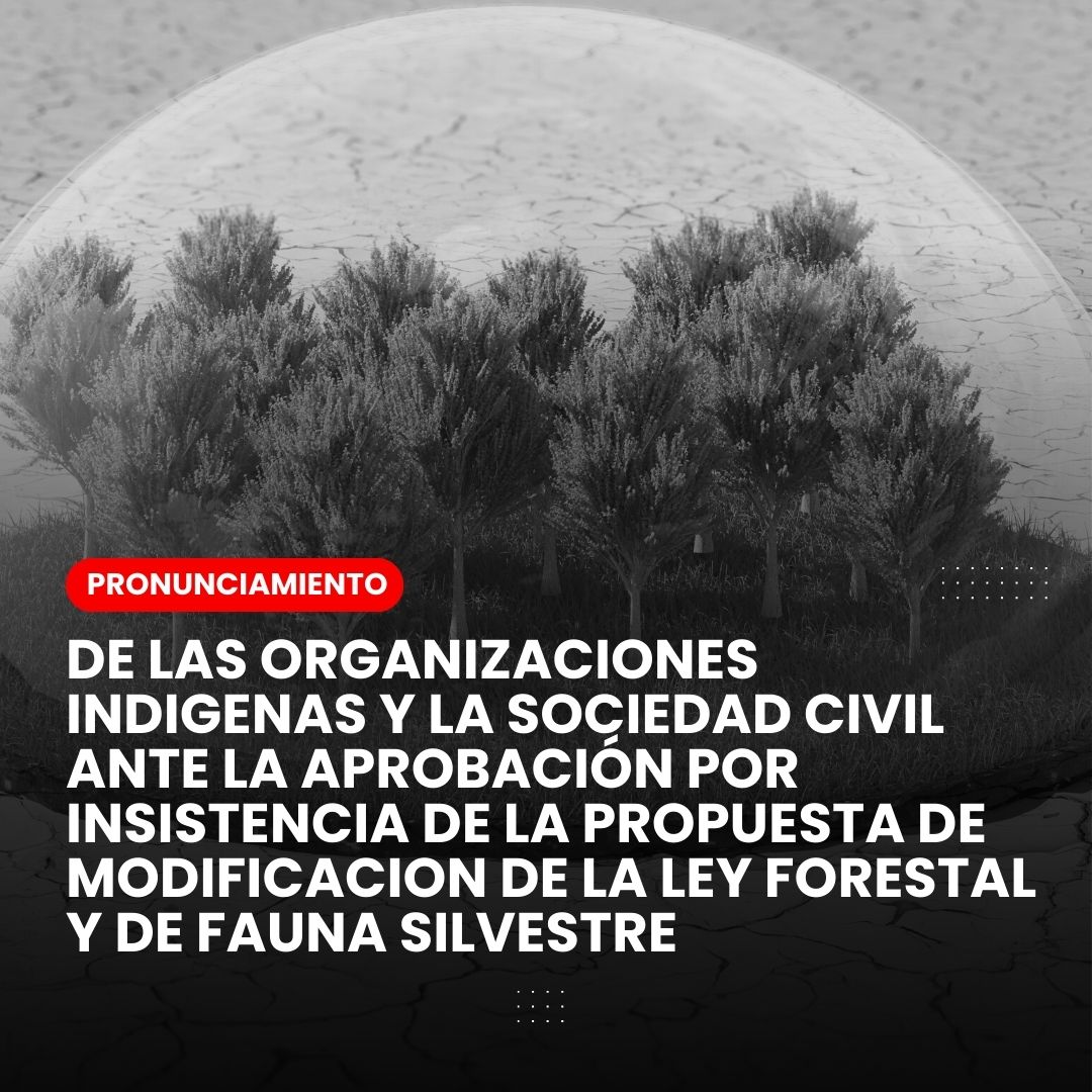 ONG DAR (@ongdar) on Twitter photo Más de 80 organizaciones y 240 personas se pronuncian frente a la aprobación de <a href="/congresoperu/">Congreso del Perú 🇵🇪</a> de la modificación de la Ley Forestal y de Fauna Silvestre, que promueve la deforestación y pone en riesgo los bosques de nuestra Amazonía.
👉🏽 Súmate ahora: bit.ly/3tnXZ8z Más de 80 organizaciones y 240 personas se pronuncian frente a la aprobación de <a href="/congresoperu/">Congreso del Perú 🇵🇪</a> de la modificación de la Ley Forestal y de Fauna Silvestre, que promueve la deforestación y pone en riesgo los bosques de nuestra Amazonía.
👉🏽 Súmate ahora: bit.ly/3tnXZ8z
