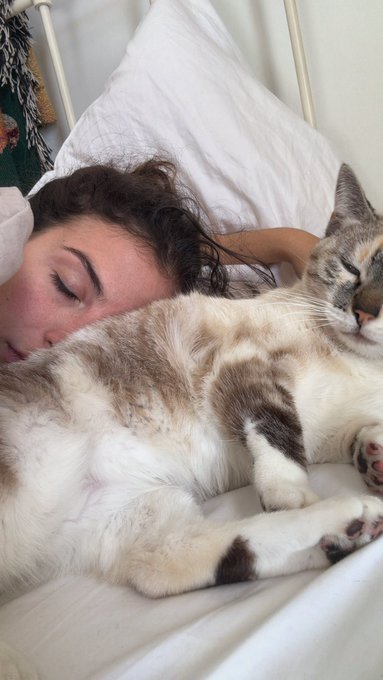 💤🐱💕 https://t.co/kOhfr1A7uQ